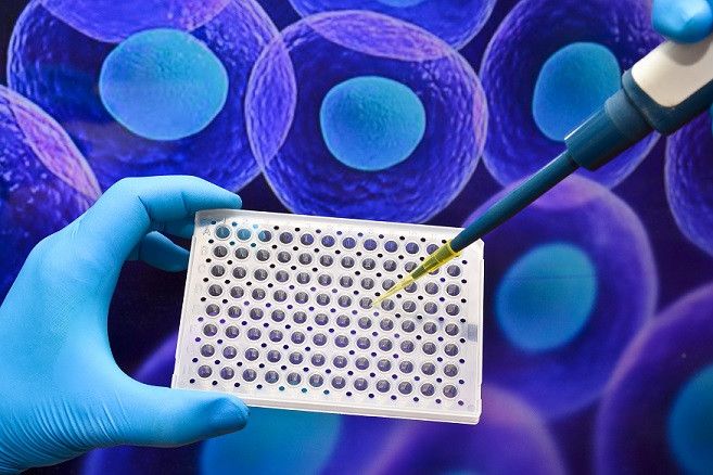 what-cell-culture-benefits-for-health-field-and-industries